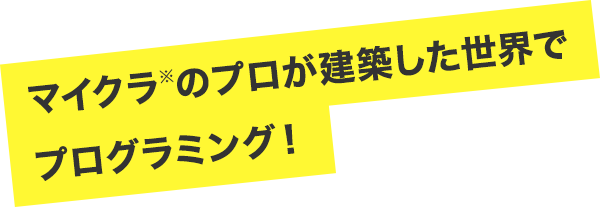 マイクラのプロが建築した世界でプログラミング！