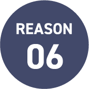 Reason 06