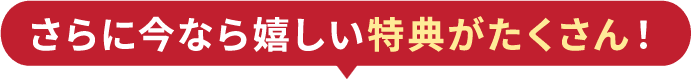 さらに今なら嬉しい特典がたくさん！